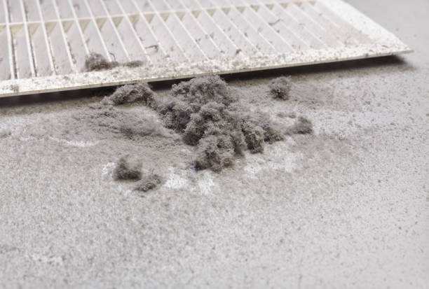 Best Local Air Duct Cleaning Services  in Sissonville, WV