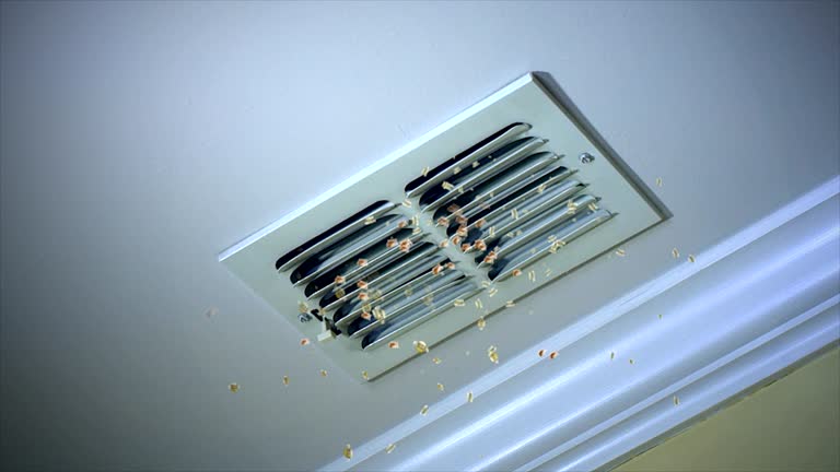 Best Home Air Vent Cleaning  in Sissonville, WV