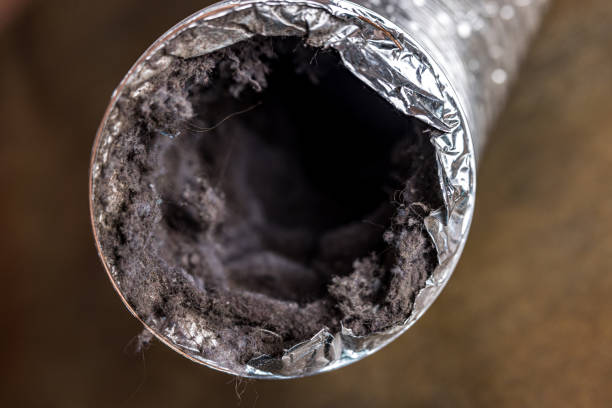 Best Affordable HVAC Duct Cleaning  in Sissonville, WV